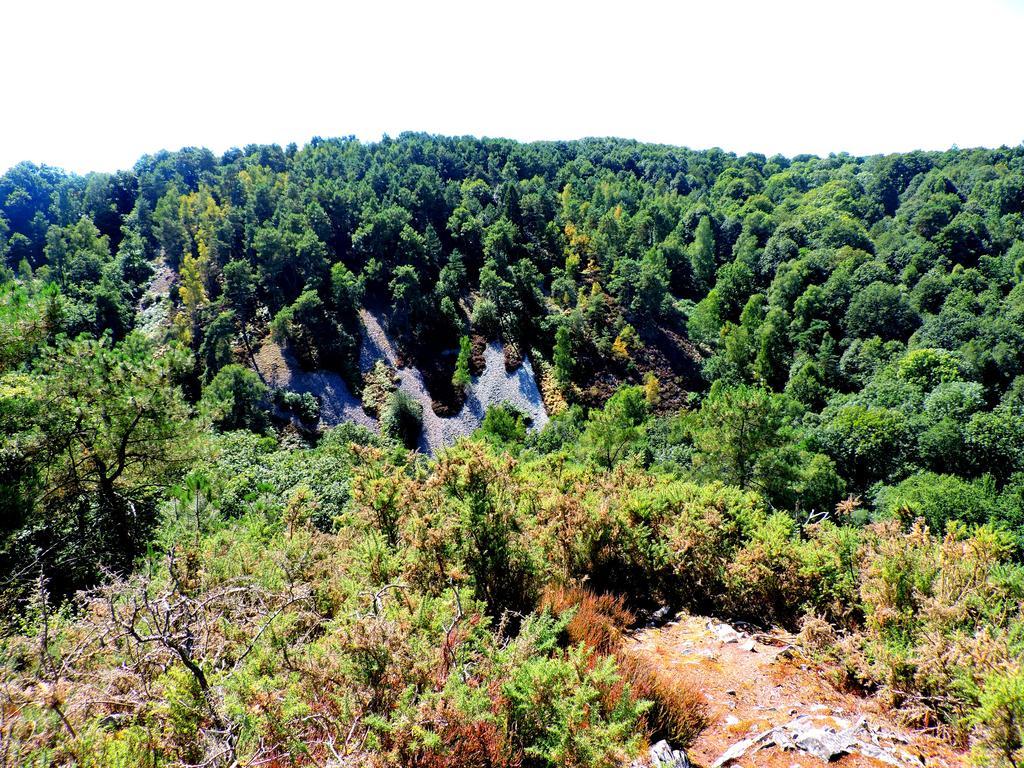 Gite Le Bourgneuf Fresnay-sur-Sarthe Exteriör bild